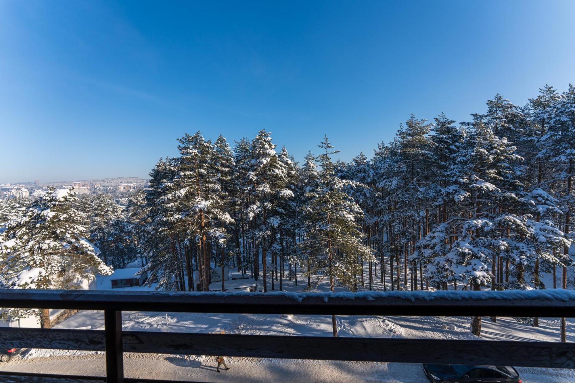 Mount Inn Nesic Zlatibor Kültér fotó
